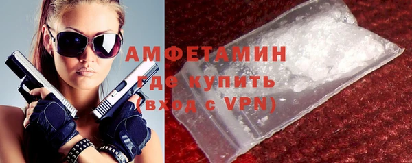 стаф Верея