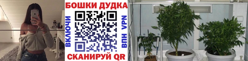 даркнет сайт  Новый Оскол  Канабис планчик 